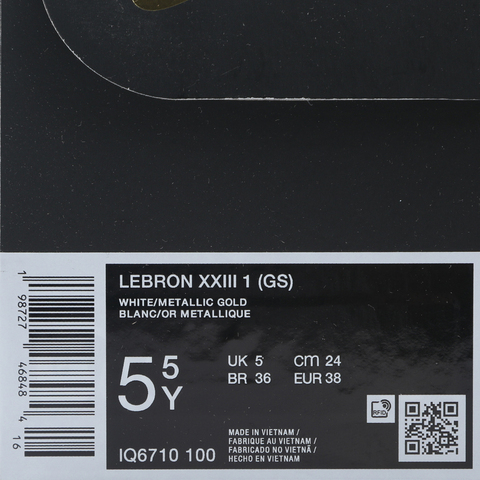 Nike KidsNike Kids2025男大童LEBRON XXIII 1 (GS)儿童IQ6710-100