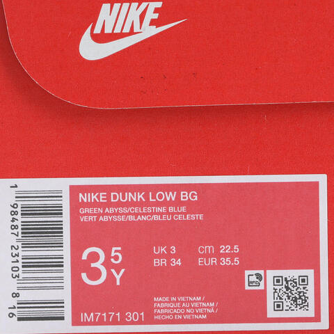 Nike KidsNike Kids2025男大童NIKE DUNK LOW BG儿童IM7171-301