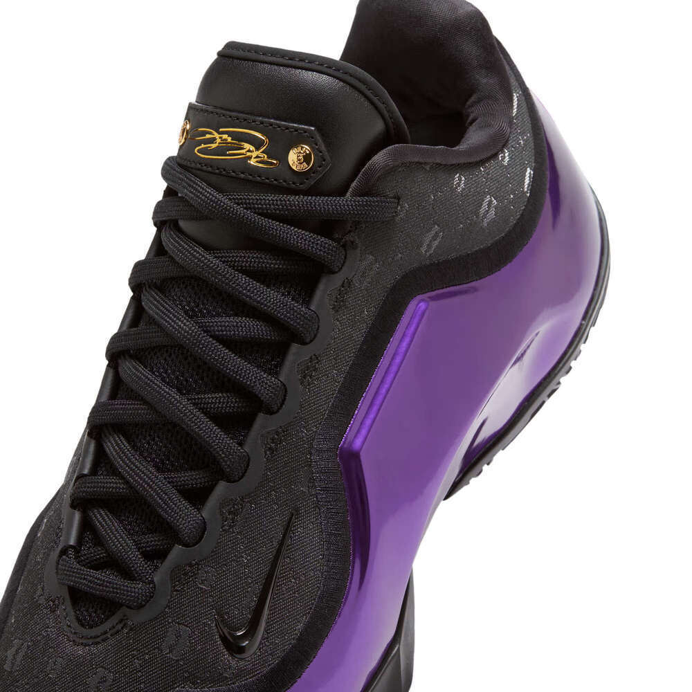 NIKE耐克2025男子LEBRON XXIII LUX EP篮球IF0693-001