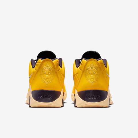 NIKE耐克2025男子LEBRON WITNESS IX EP篮球HQ8035-700