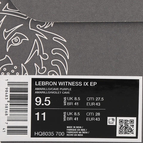 NIKE耐克2025男子LEBRON WITNESS IX EP篮球HQ8035-700