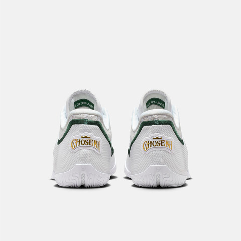 NIKE耐克2025男子LEBRON XXIII EP篮球IB9563-101