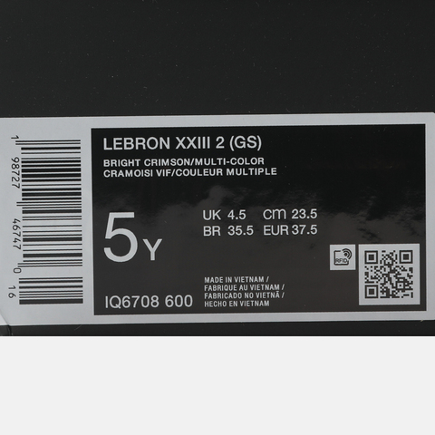 Nike KidsNike Kids2025男大童LEBRON XXIII 2 (GS)儿童IQ6708-600