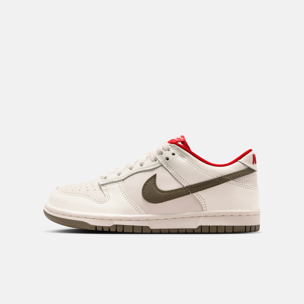 Nike KidsNike Kids2026大童NIKE DUNK LOW (GS)儿童IQ9793-020