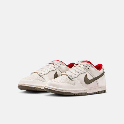 Nike KidsNike Kids2026大童NIKE DUNK LOW (GS)儿童IQ9793-020