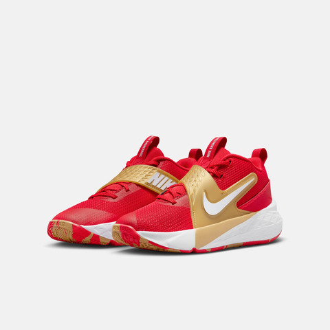 Nike KidsNike Kids2026大童TEAM HUSTLE D 12 (GS)儿童HF6279-603