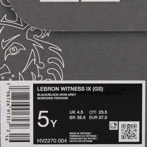 Nike KidsNike Kids2026大童LEBRON WITNESS IX (GS)儿童HV2270-004