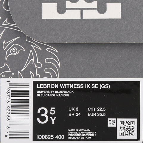 Nike KidsNike Kids2026大童LEBRON WITNESS IX SE (GS)儿童IQ0825-400