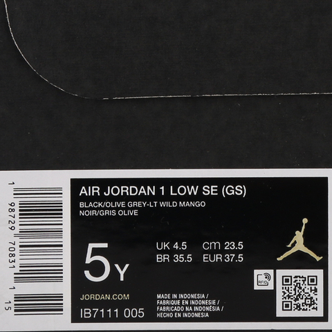 JordanJordan2026大童AIR JORDAN 1 LOW SE (GS)乔丹IB7111-005