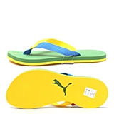 印度大花绿-法国蓝-黄色