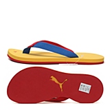 亮黄-皇室蓝-缎带红