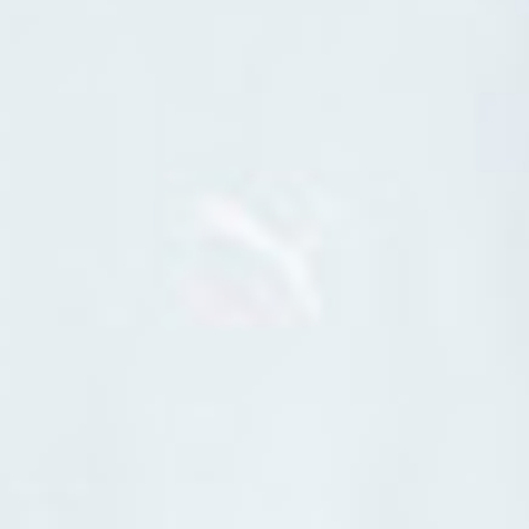 PUMA彪马 2023年新款男子休闲系列卫衣/套头衫62343869