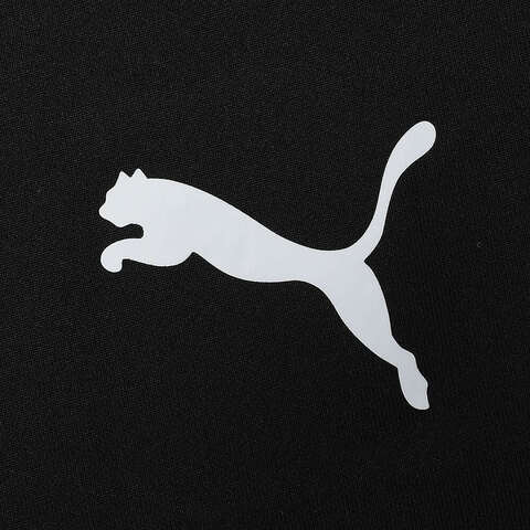 puma彪马2024中性短袖T恤68291501