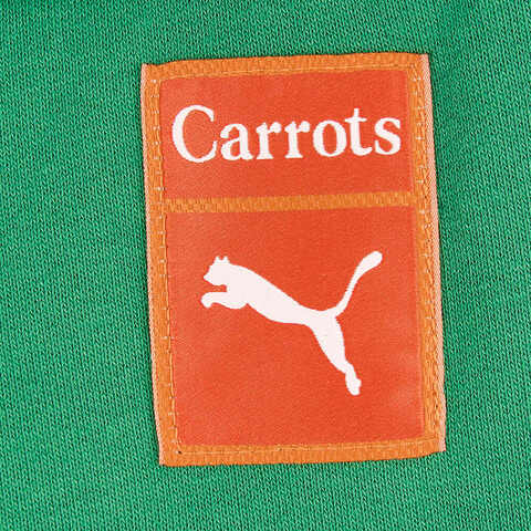 puma彪马2024男子绿短裤62744786