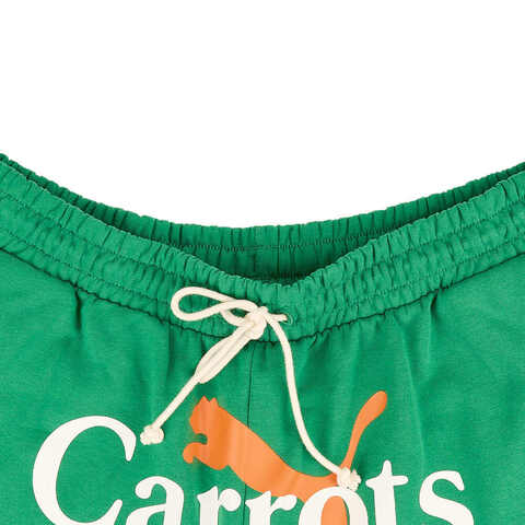 puma彪马2024男子绿短裤62744786