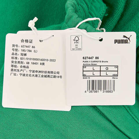 puma彪马2024男子绿短裤62744786