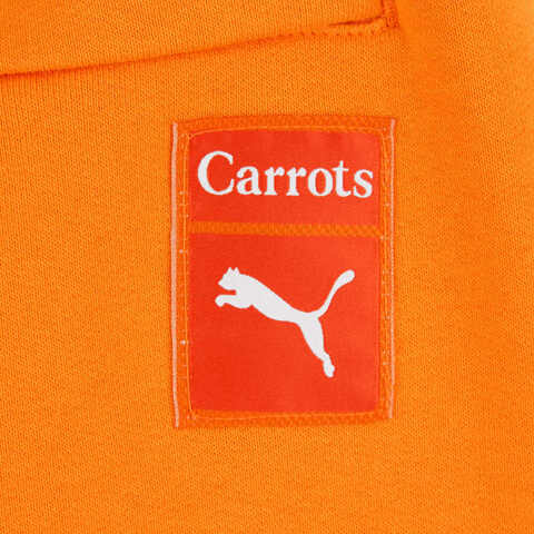 puma彪马2024男子短裤62744745