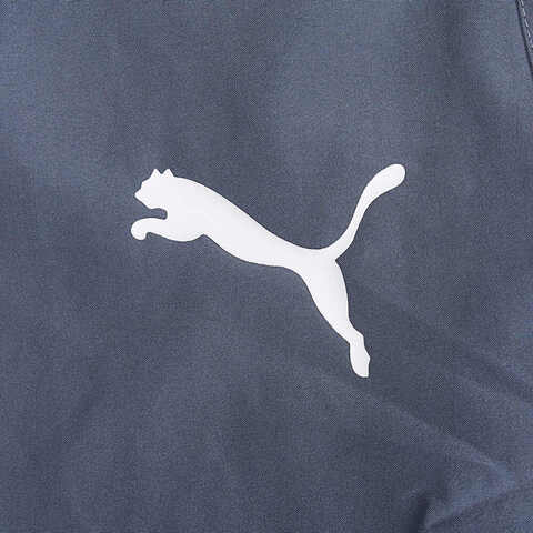 puma彪马2024男子-梭织长裤-蓝梭织长裤77758122