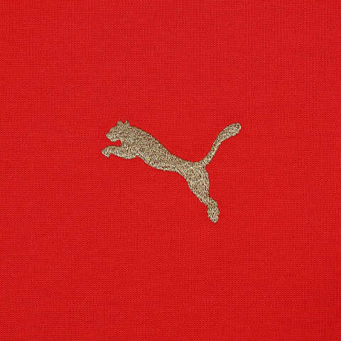 puma彪马2024男子男子-GAME ON Hoodie DK-红针织无帽卫衣63141611