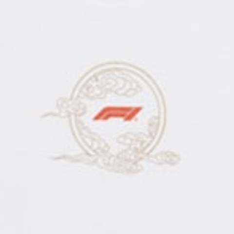 puma彪马2024男子男子-F1 China Tee-彪马白针织无领短T62783202