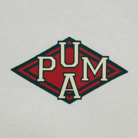 puma彪马2025男子男子-SPORTS LEGACY Graphic Hoodie TR-白色针织连帽卫衣63252792