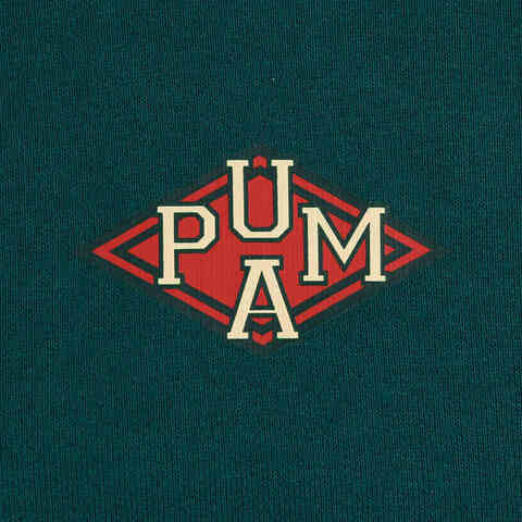 puma彪马2025男子男子-SPORTS LEGACY Crew TR-圣诞绿针织无帽卫衣63252886