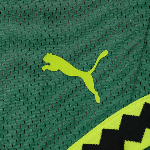 puma彪马2025男子男子-Hoops x TMNT Short-深绿色-紫罗兰-亮粉色梭织短裤63093101