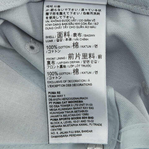 puma彪马2025中性中性-ESS No.1 BB Cap AF-铂金灰弯沿帽02590711