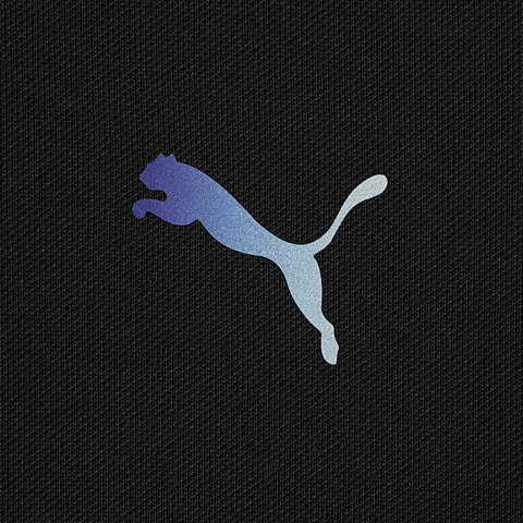 puma彪马2025男子男子-PERFORMANCE POLO-黑色梭织有领短T52870101