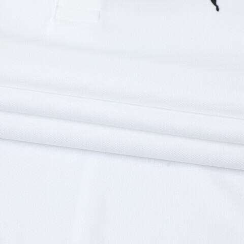 puma彪马2025男子男子-PERFORMANCE POLO-彪马白梭织有领短T52869902