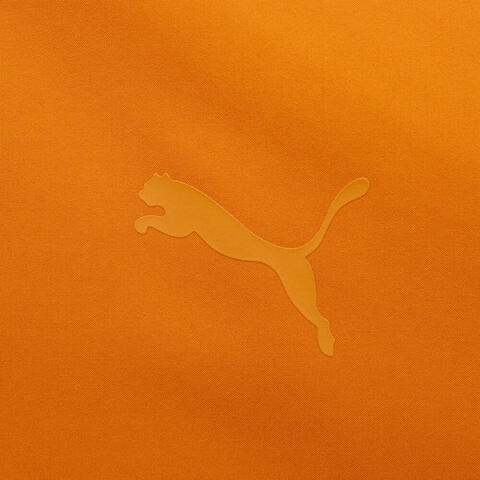 puma彪马2025男子男子-WINTERIZED Woven Down Jacket-橙褐色厚羽绒服-短69284962