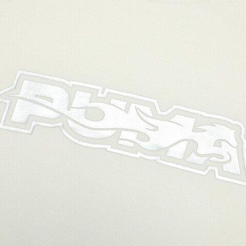 puma彪马2026中性中性-RACE AHEAD CREW TERRY-米白色针织无帽卫衣63603391