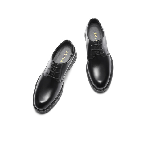 森达正装皮鞋男2025冬新商场同款通勤职场商务鞋2AS01DM5