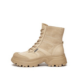 沙丘杏（绒里）