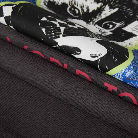 VANS范斯2025女子ROCK RACCOON SS TEE针织无领短TVN000NMN1O7