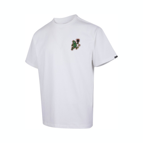 VANS范斯2025男子PICKLE GFX SS TEE针织无领短TVN000NNKWHT