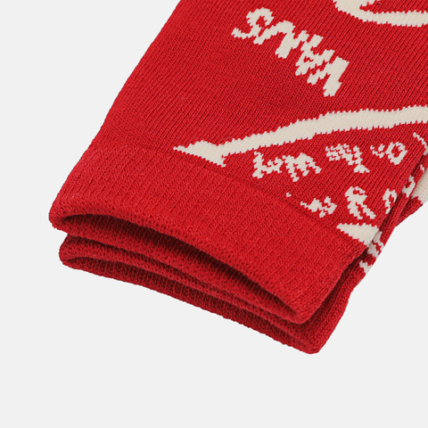 VANS范斯2026中性AP BOLIN BALLON SOCK长袜VN000ZXQHG0