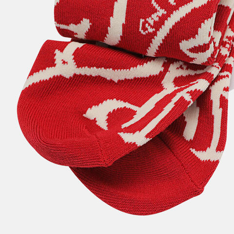 VANS范斯2026中性AP BOLIN BALLON SOCK长袜VN000ZXQHG0